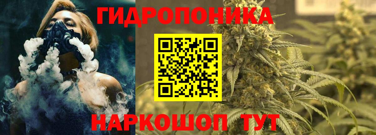 Бошки марихуана план Усть-Илимск